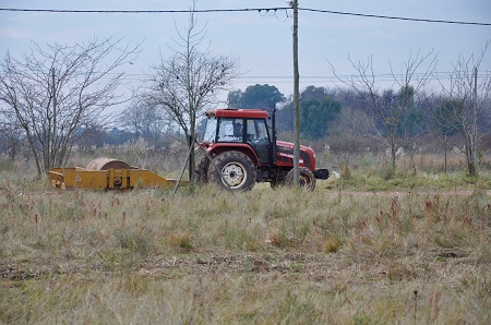 1 8 rodillo en los barrios