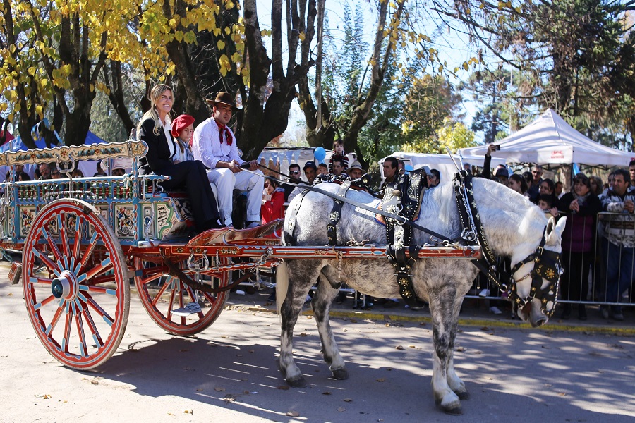 33686549 528151990912340 5815775650274869248 n