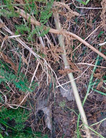 6d8a9f75 2395 4a1a be7f 461d12a40e5f