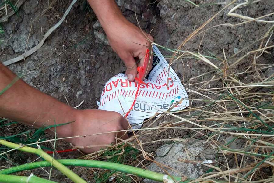 81c3e568 6f38 4e96 9a20 35686bbf5b21