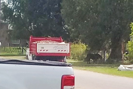 IMG 20200411 WA0035 01