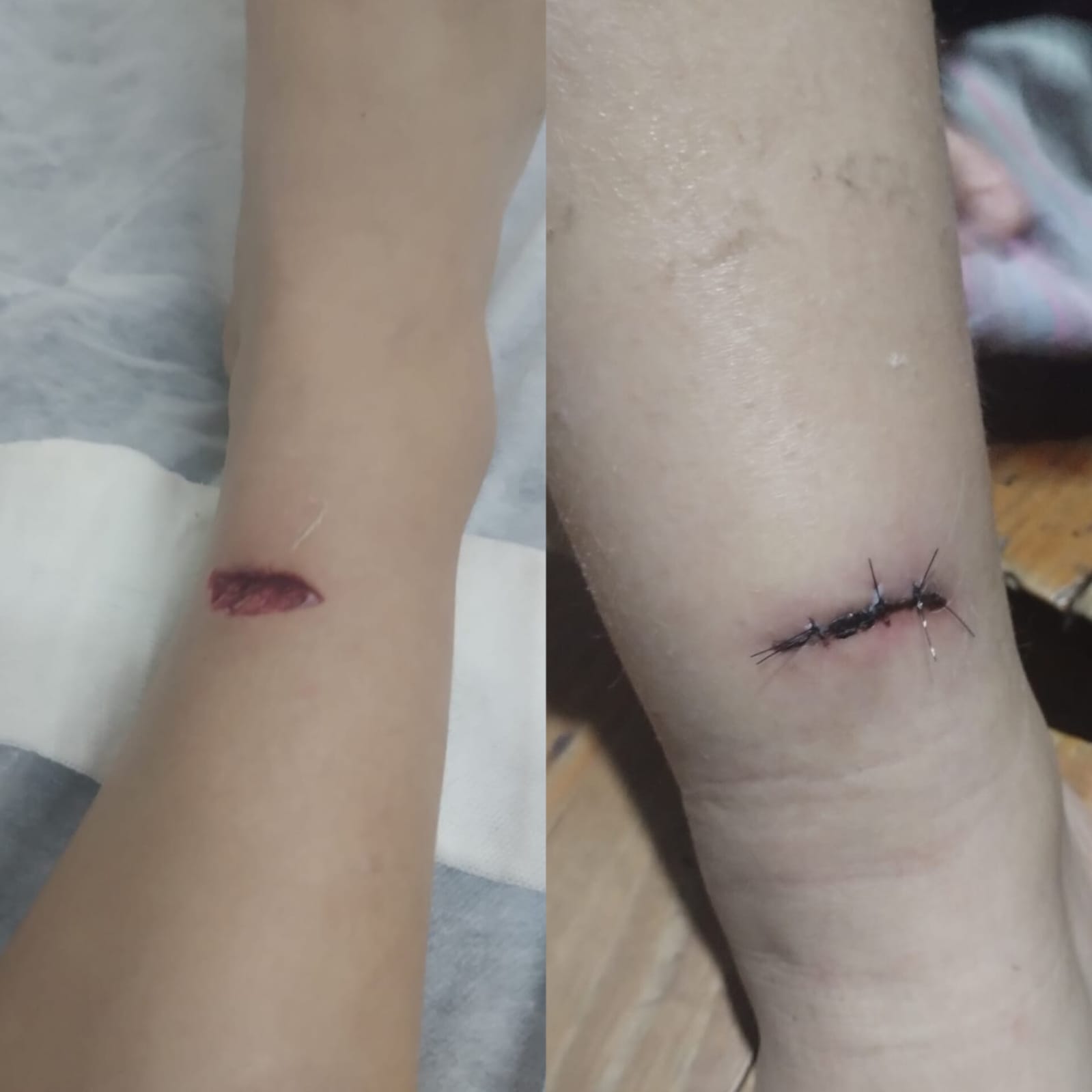 Imagen de WhatsApp 2023 09 20 a las 13.08.57