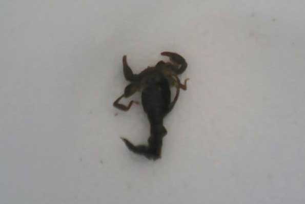 16128639 10157971704245184 1363797436 n