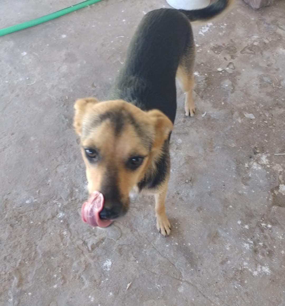 WhatsApp Image 2022 04 24 at 9.27.48 PM