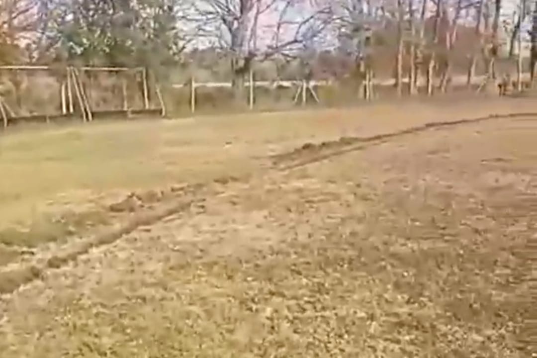 WhatsApp Image 2022 06 09 at 9.51.16 AM