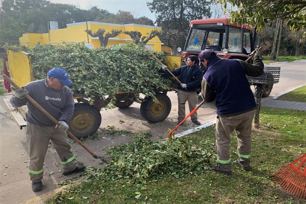 Los equipos de trabajo se dividieron tareas.