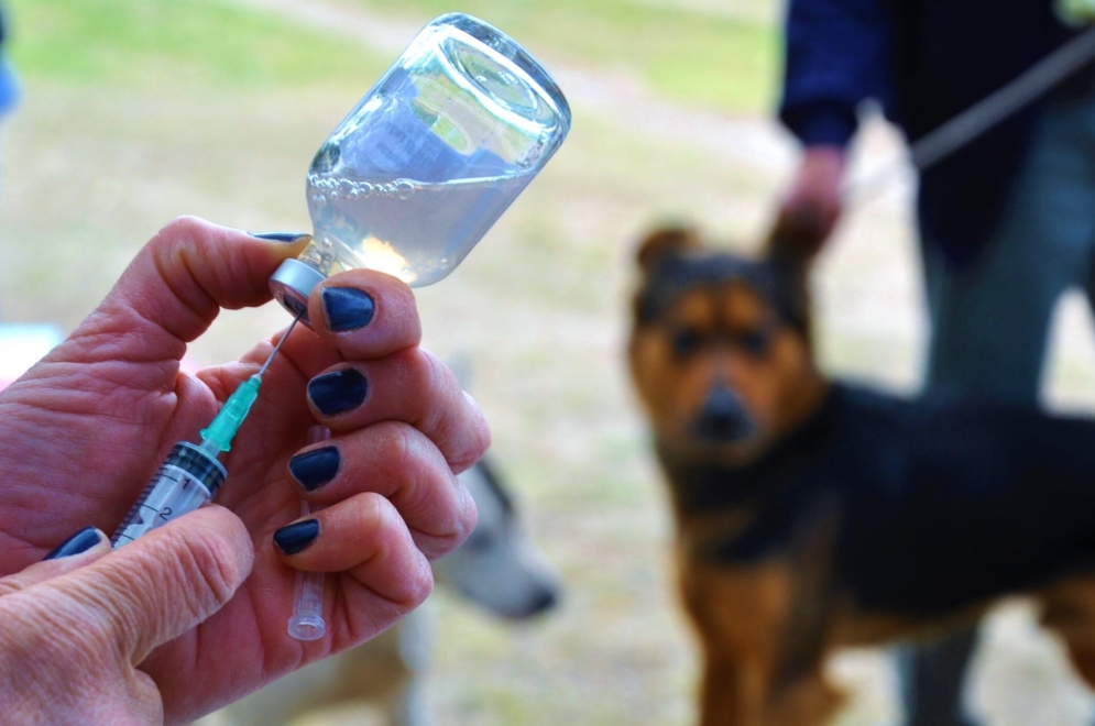 Este viernes, de 9:30 a 12:30 el plan de vacunaci&oacute;n se har&aacute; presente en el barrio Buen Pastor.