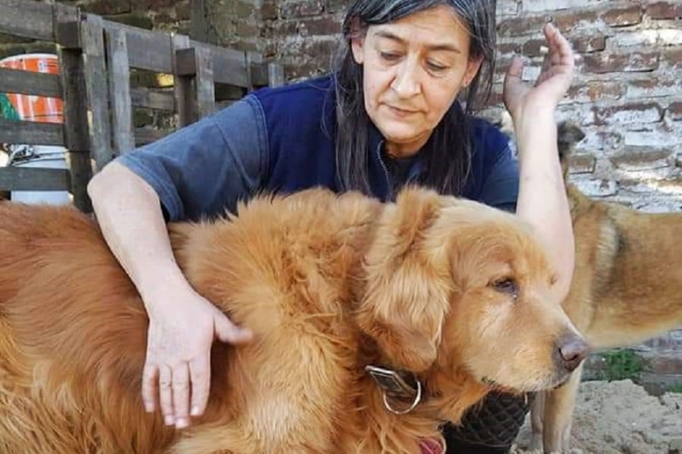 La asociaci&oacute;n se responsabiliza de alrededor de 69 perros.