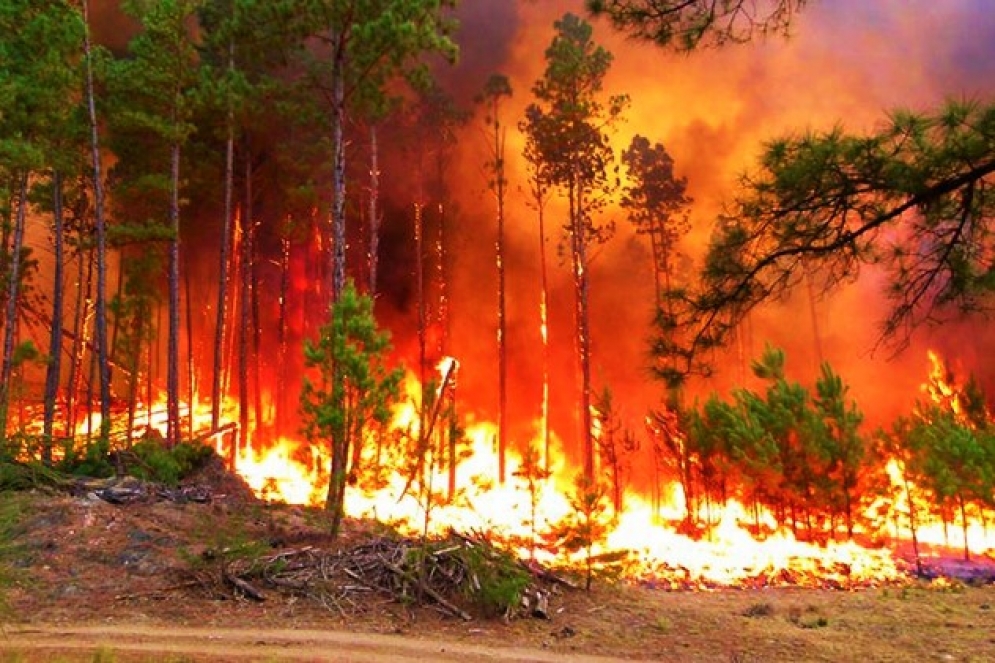 Un ca&ntilde;uelense, en el coraz&oacute;n de las llamas cordobesas