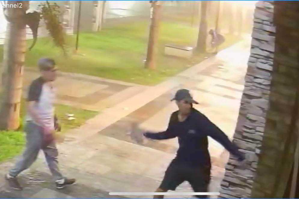 Los malandras fueron captados por las c&aacute;maras de seguridad.