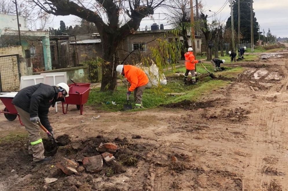 Uno de los grupos, trabajando en M&aacute;ximo Paz.