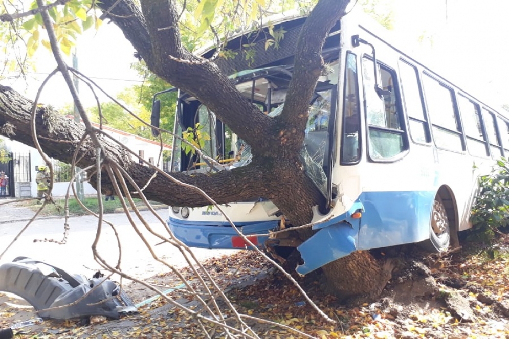 Tras el impacto, el colectivo termin&oacute; contra un &aacute;rbol de la vereda de enfrente. 