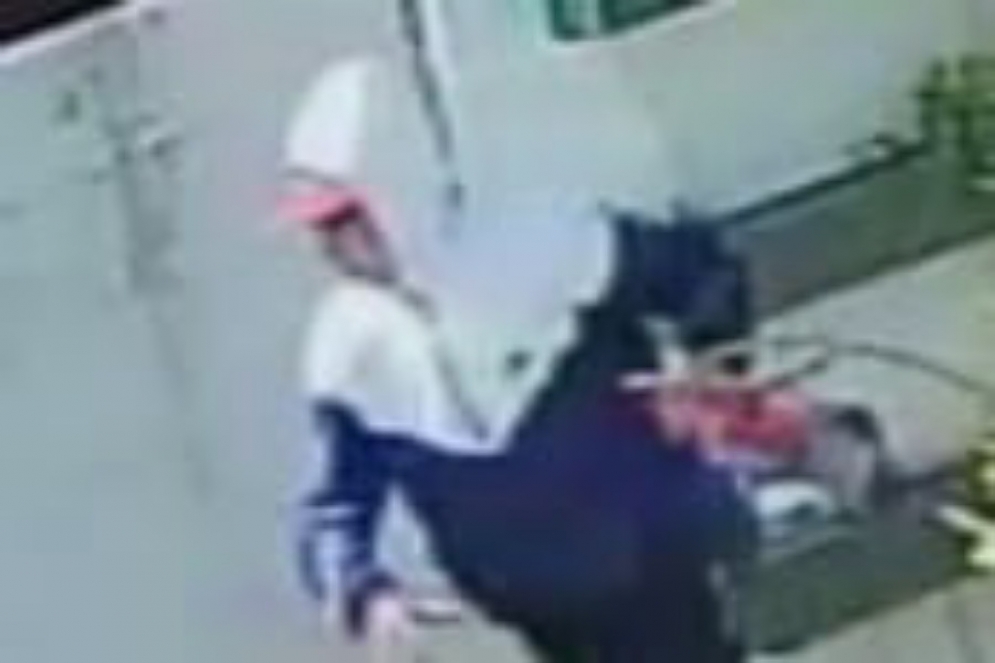 Ocho segundos bastaron para que un delincuente concrete el hurto.