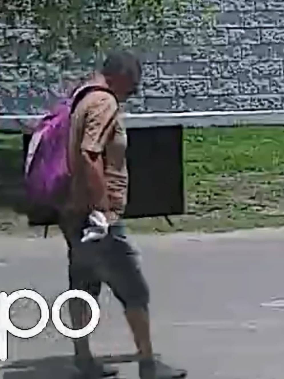 Se las tom&oacute; a paso cansino. (Captura de&nbsp;video)