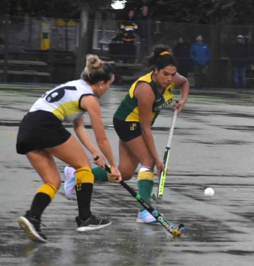 Florencia Echeverr&iacute;a, referente de Las Ca&ntilde;as, en acci&oacute;n ante el "cartero".