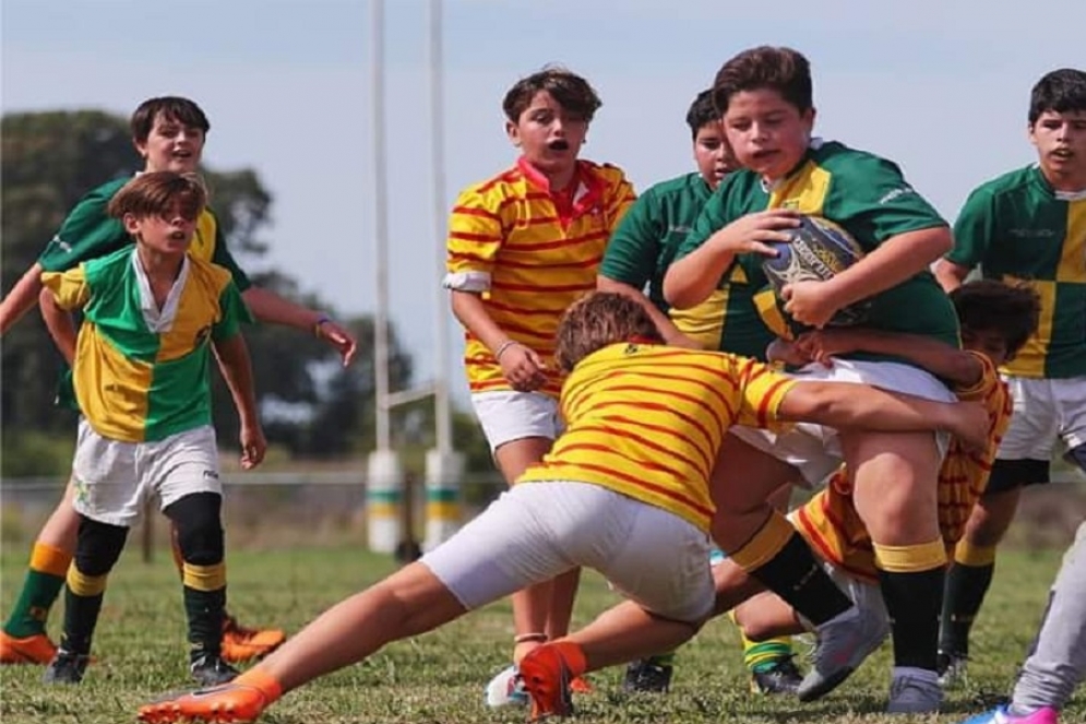 Es el primer club local en suspender actividades.