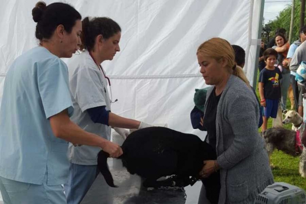 Este martes el operativo se encuentra en M&aacute;ximo Paz. 