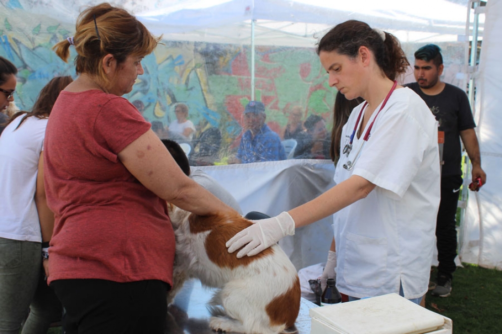 Una vecina vacunando a su mascota durante el inicio del operativo de esta ma&ntilde;ana.