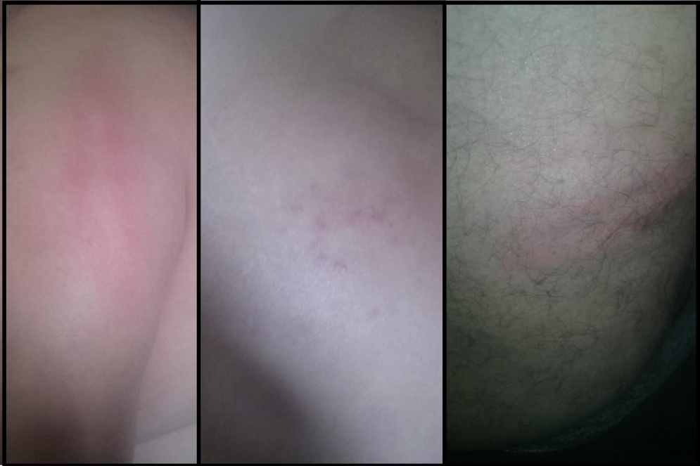 Las im&aacute;genes p&uacute;blicadas por la familia de Garc&iacute;a. 