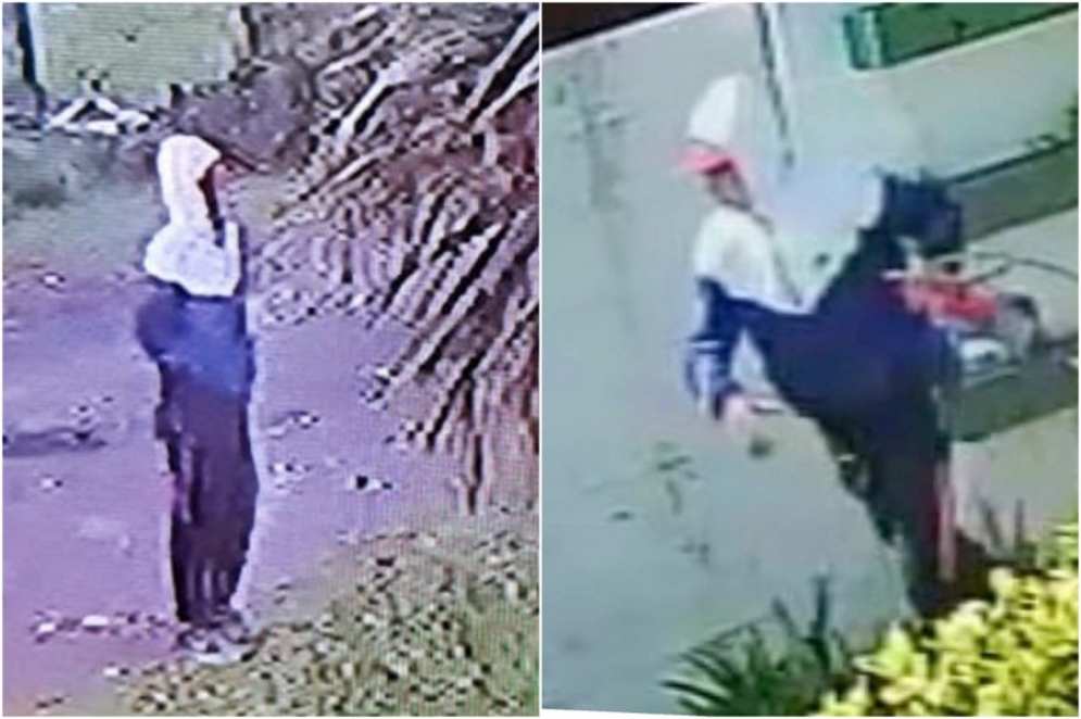 En la doble intervenci&oacute;n el malhechor sustrajo herramientas y una desmalezadora.