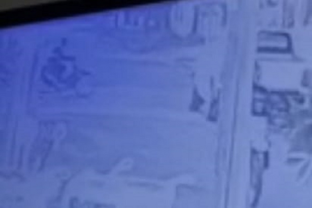 Imagen registrada por la c&aacute;mara de una vivienda cercana.