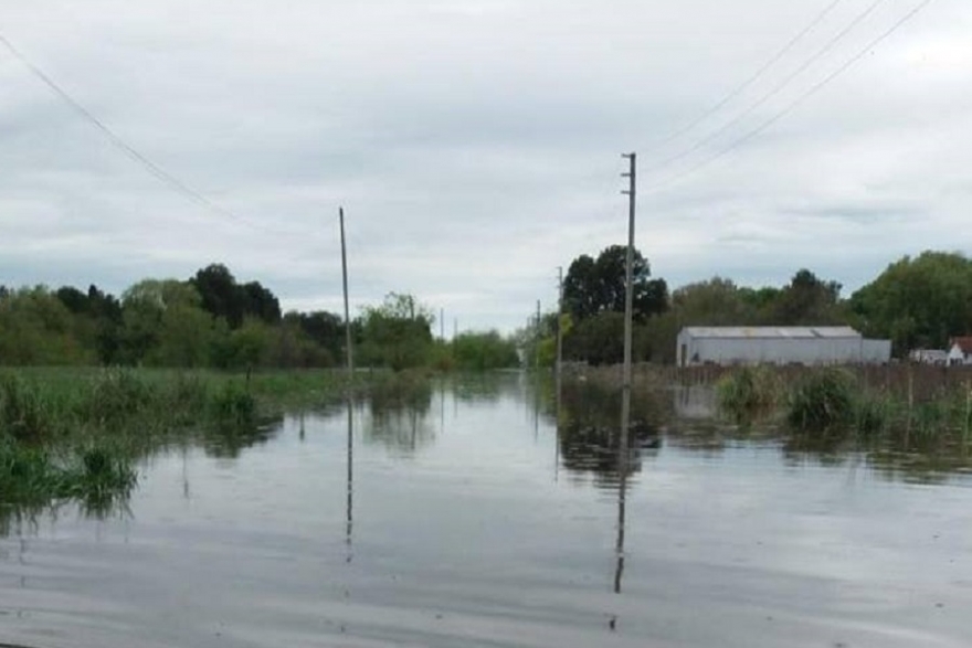 Recorrida por los Centros de Evacuados