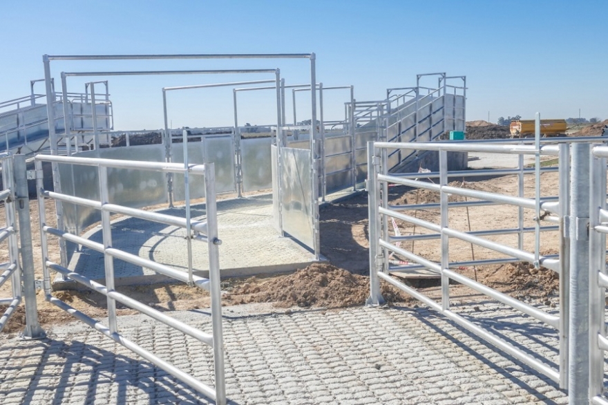 Aseguran que el MAG ser&aacute; el m&aacute;s grande del mundo