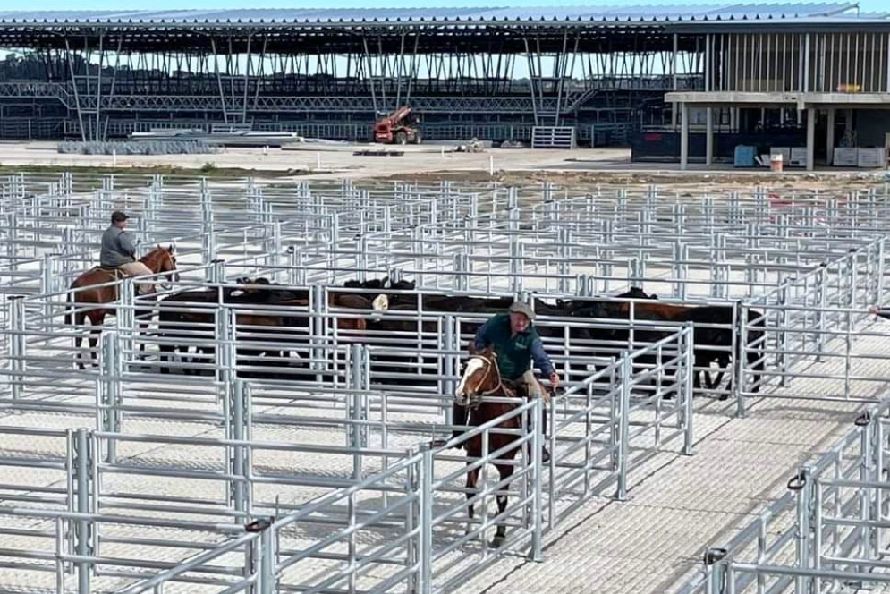 Estiman que antes de fin de a&ntilde;o podr&aacute; estar operando.