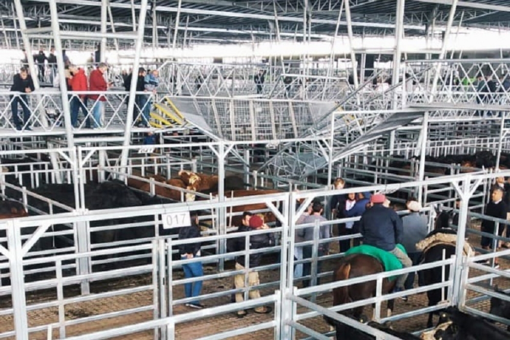 Un n&uacute;mero importante de gente transitaba sobre las pasarelas.