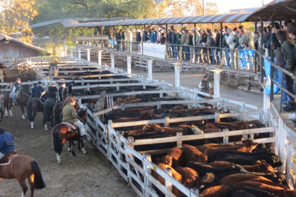 El mercado de Liniers.