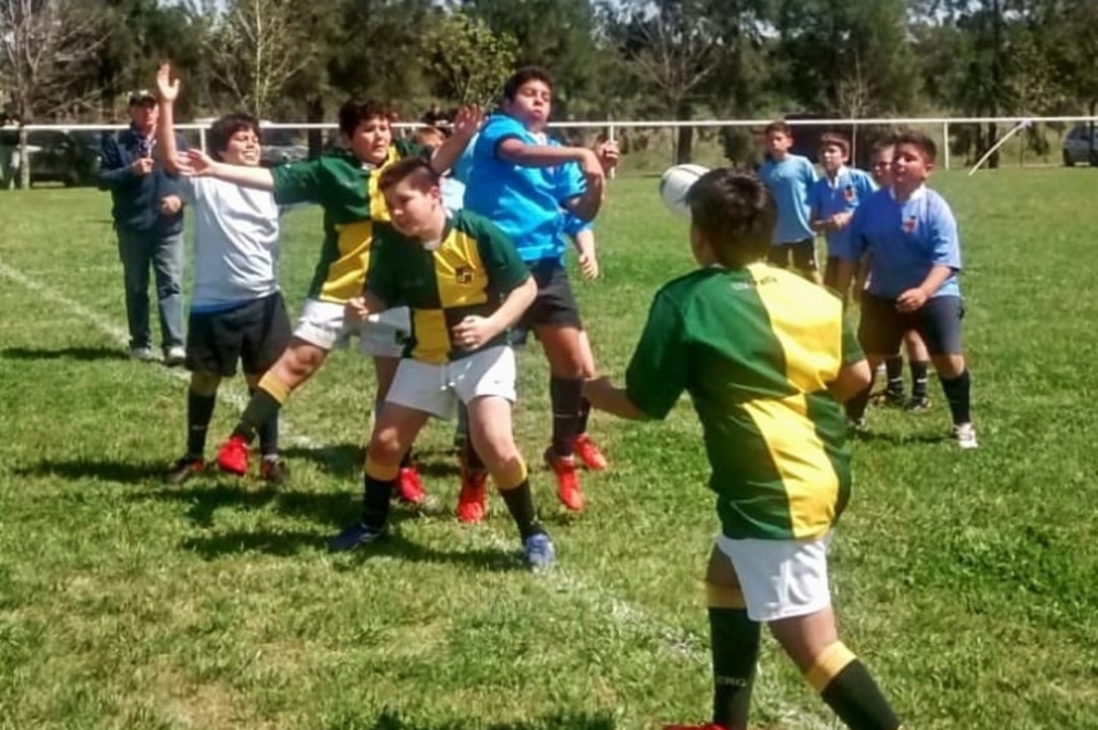 Divisiones formativas de Las Ca&ntilde;as