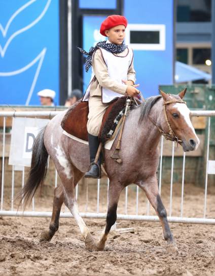 &ldquo;Beni&rdquo;, el ni&ntilde;o gaucho, se prepara para su vuelta a la Rural