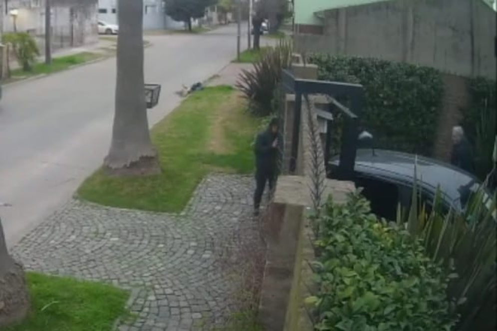 Menta con un ladr&oacute;n encima y otro en la vereda. 