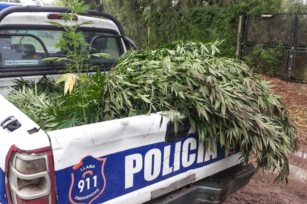 Parte de la incautaci&oacute;n en la caja del patrullero.