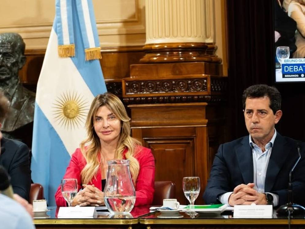 Fassi y Wado de Pedro, en el Senado.