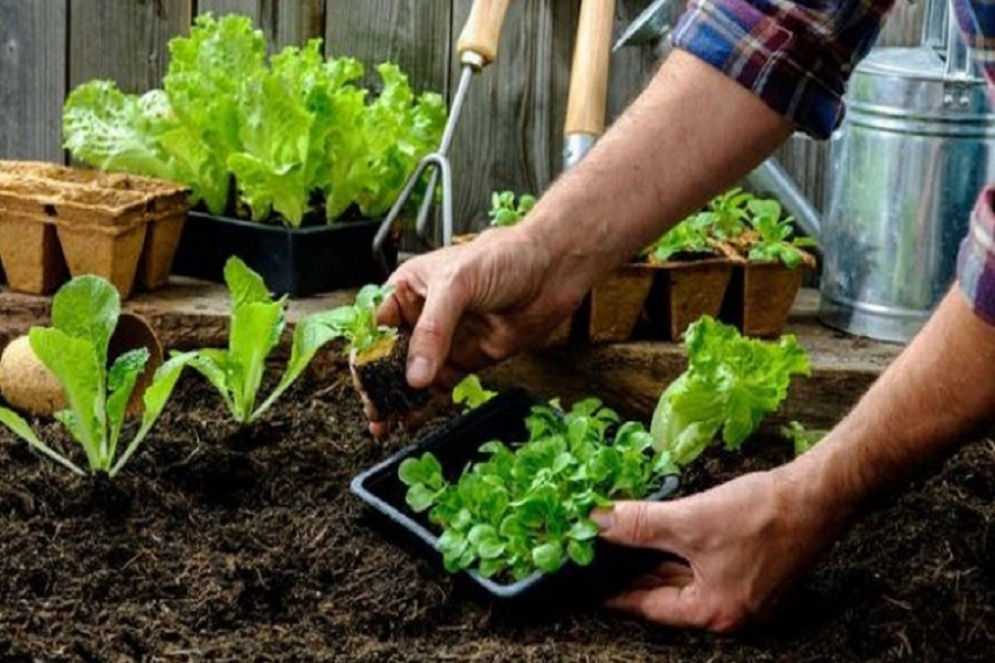 &iquest;Cu&aacute;les son los talleres que brinda el Centro de Educaci&oacute;n Agraria?&nbsp;