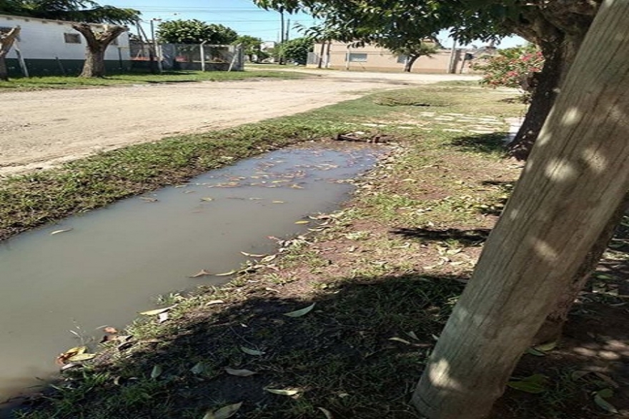 Acusan a ABSA de poner en riesgo a la poblaci&oacute;n