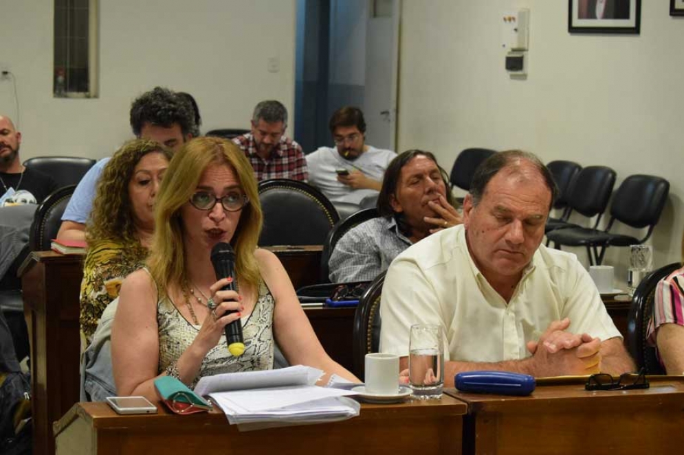 Ant&uacute;nez, la defensora del proyecto del gobierno