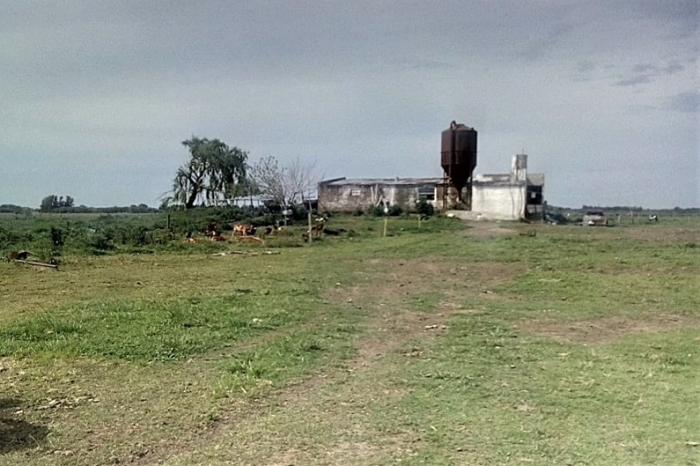 El establecimiento clausurado. 
