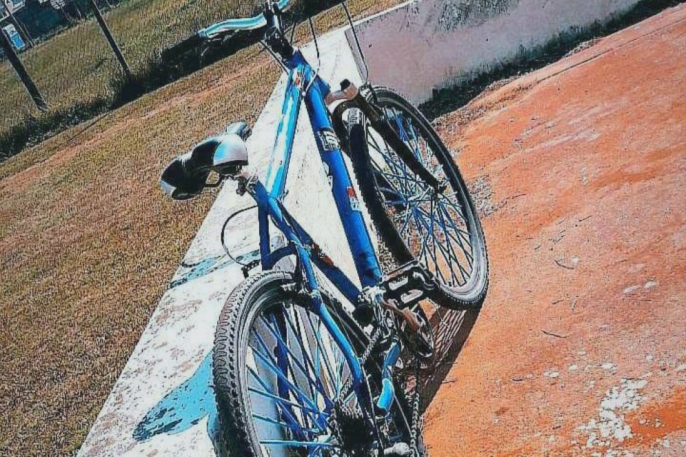 Un nene de 12 a&ntilde;os busca recuperar la bicicleta que le robaron de su casa
