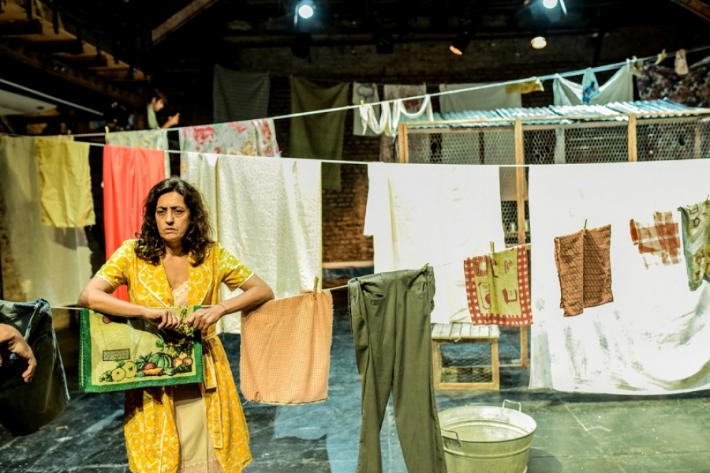 Gallo en plena acci&oacute;n. 