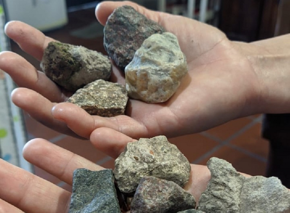 La preocupaci&oacute;n es por la gran cantidad de piedras arrojadas por "cazadores".