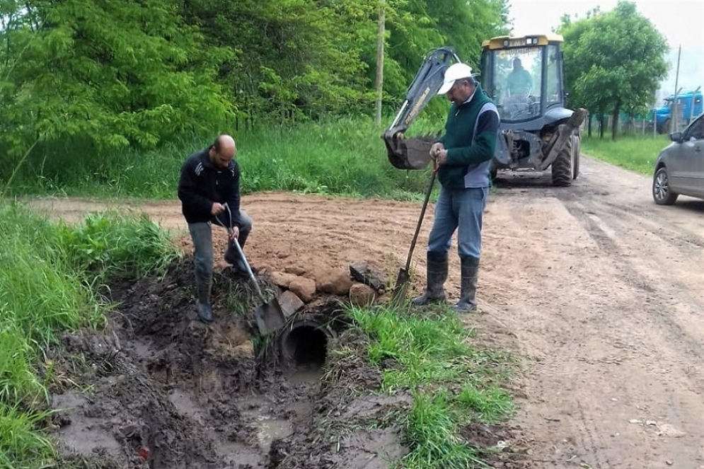 Trabajadores municipales realizando zanjeo. 