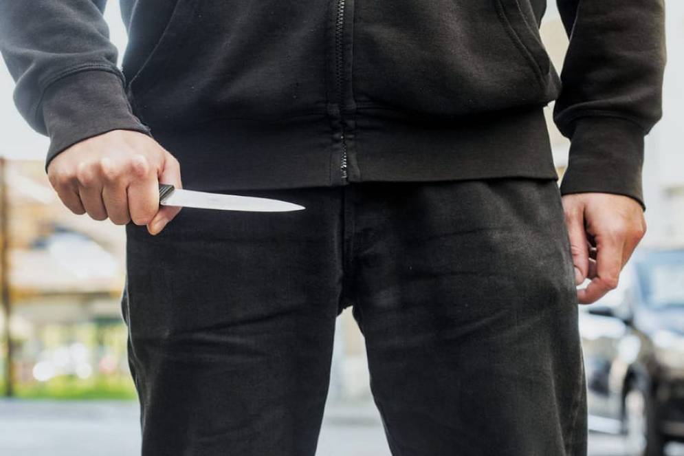 Los aprehendidos son menores de Spegazzini.