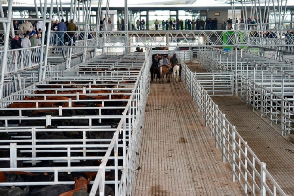 epigrafe: La CGT Regional pide cambios en las condiciones laborales en el flamante predio.