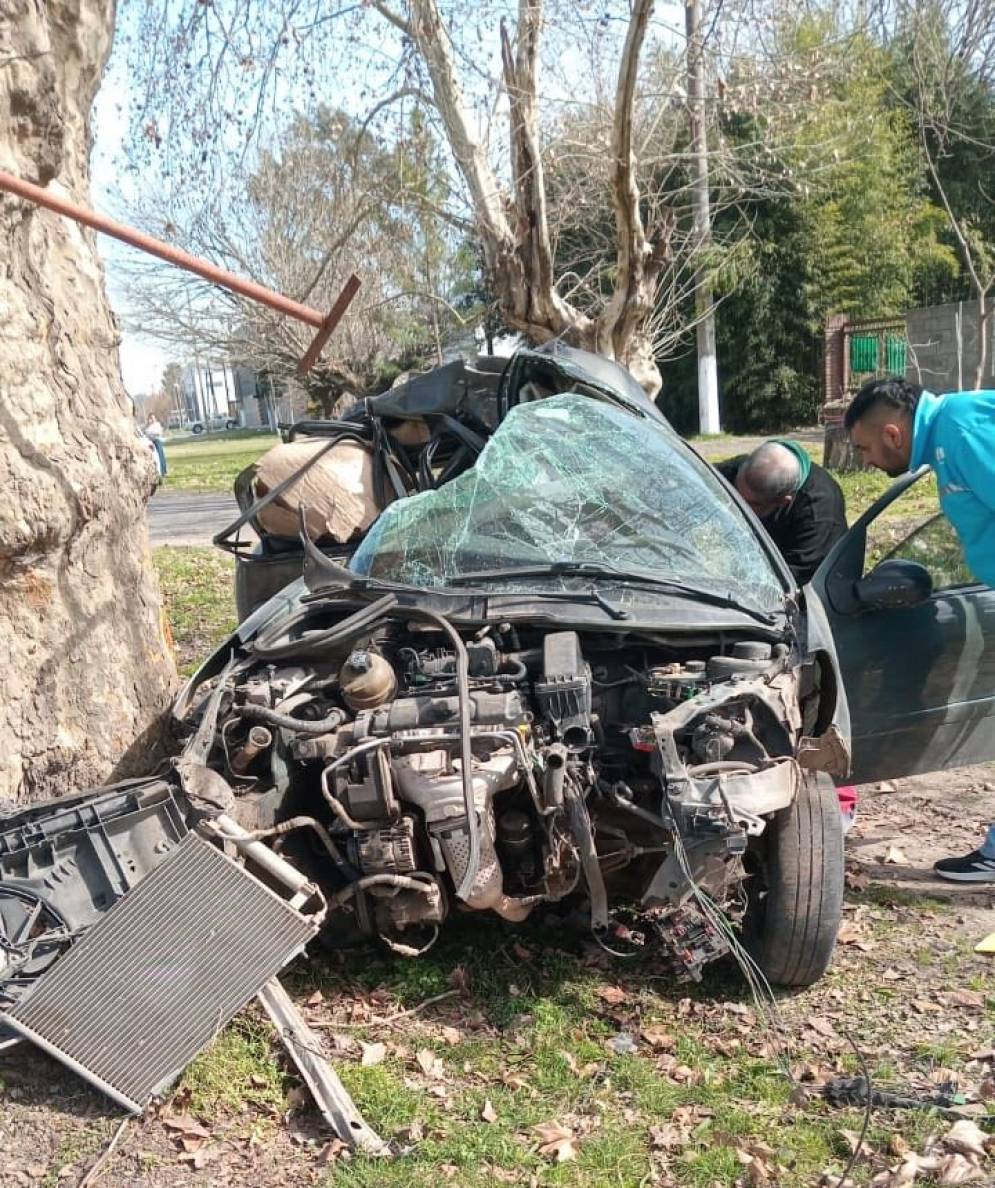 El 207 choc&oacute; frontalmente contra un robusto &aacute;rbol.
