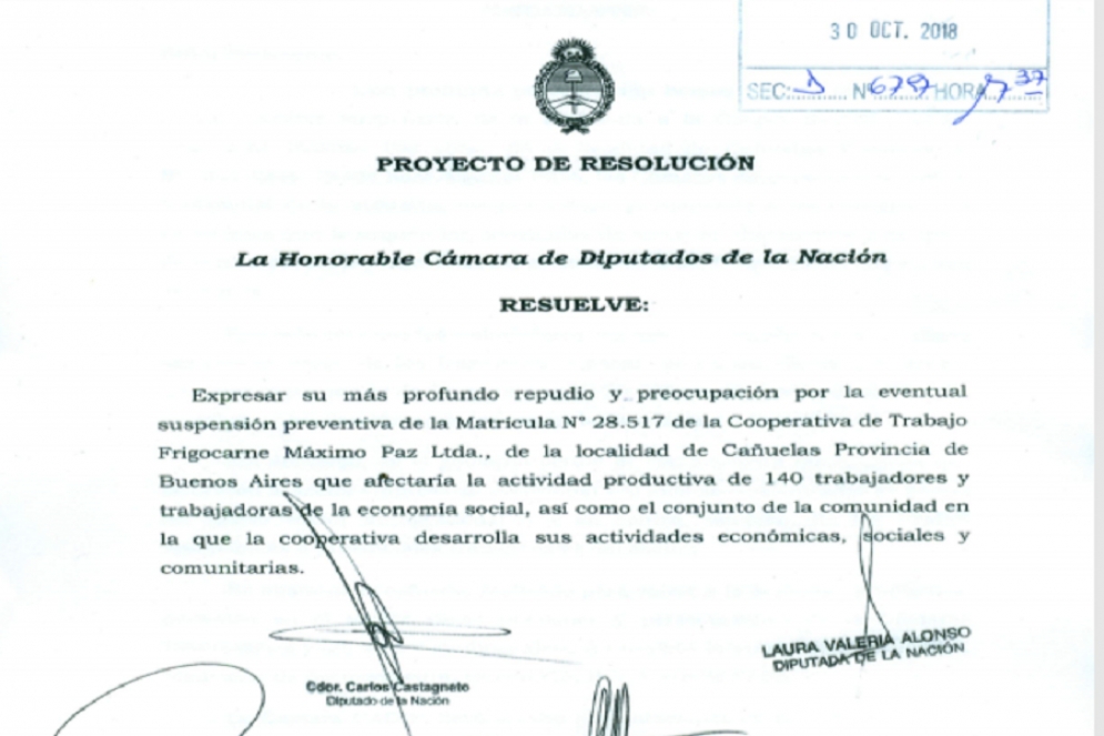 El proyecto que ingres&oacute; a diputados. 