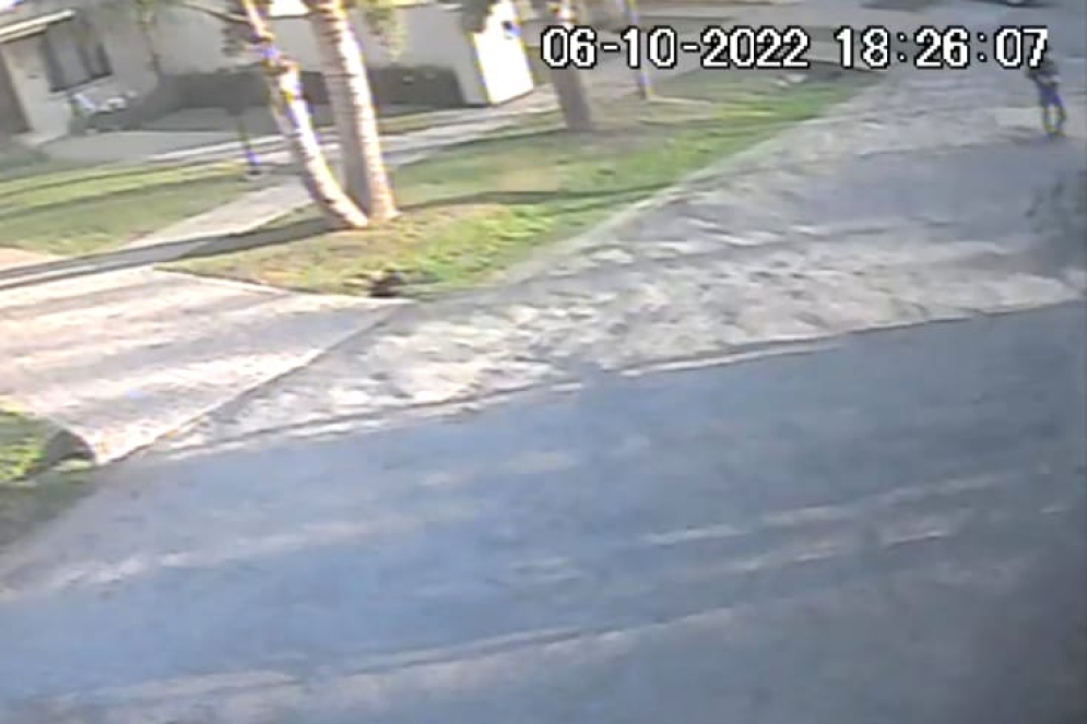 El presunto ladr&oacute;n en el margen superior derecho.