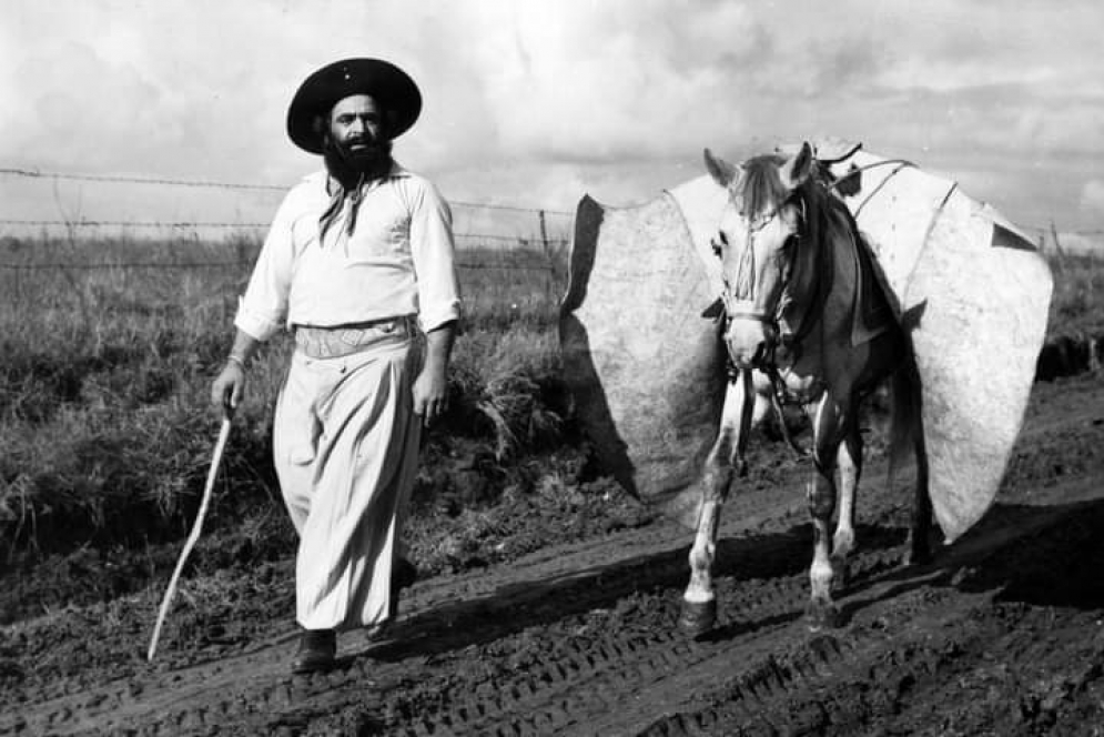 En la embestida Cafrune sufri&oacute; la rotura de diez costillas y politraumatismo de cr&aacute;neo.