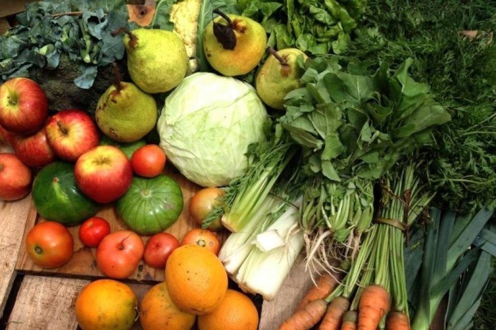 La feria de productores es una propuesta del Gobierno municipal.